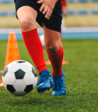 Training & Förderung